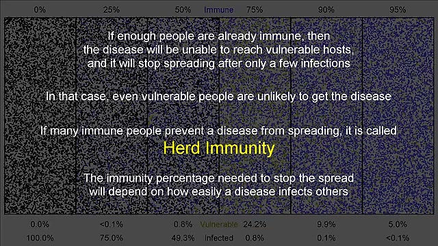 How Does Herd Immunity Work?